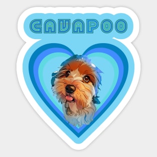 Cavapoo love (blue) Sticker